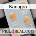 Kanagra 24